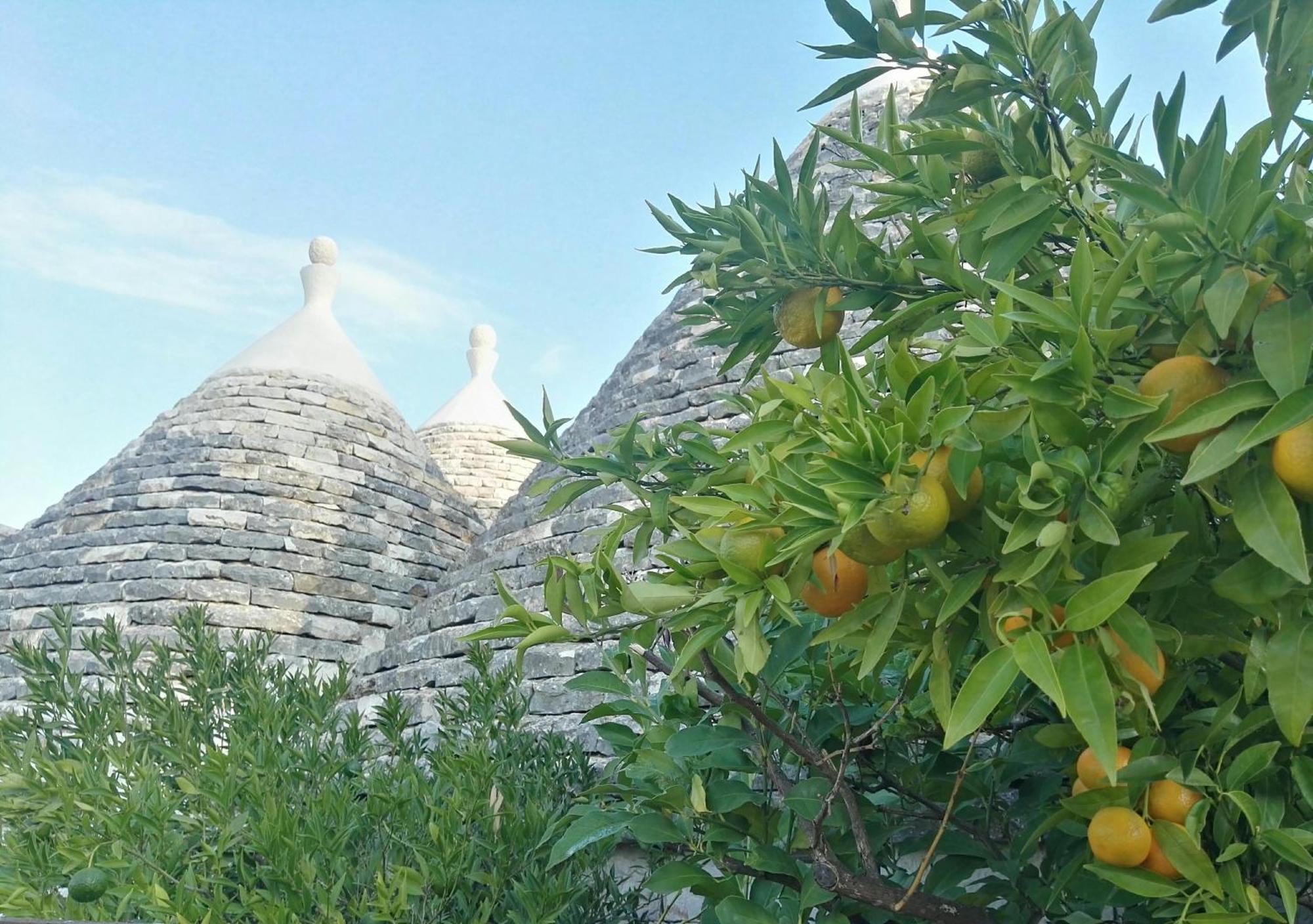 Hotel Trulli Sull'Aia San Michele Monopoli Exterior foto